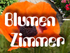 Blumenhaus Klaus Zimmer
